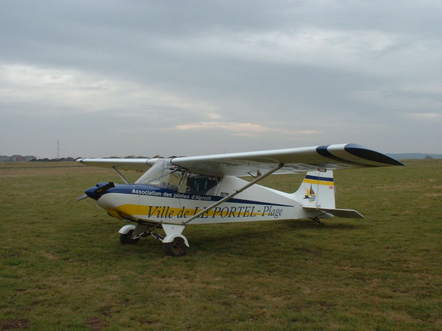 tetra_LePortel_1